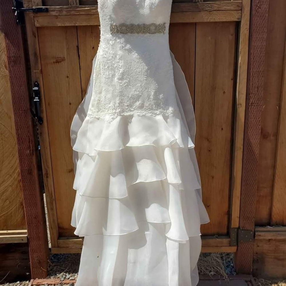 David's Bridal Ivory Wedding Dress with Gold Accents